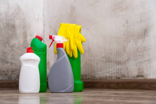 Best Biohazard Mold Removal  in , CO